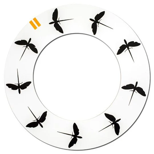 A circular clock with black dragonfly silhouettes as hour markers, orange marking two minutes past twelve, no hands visible.