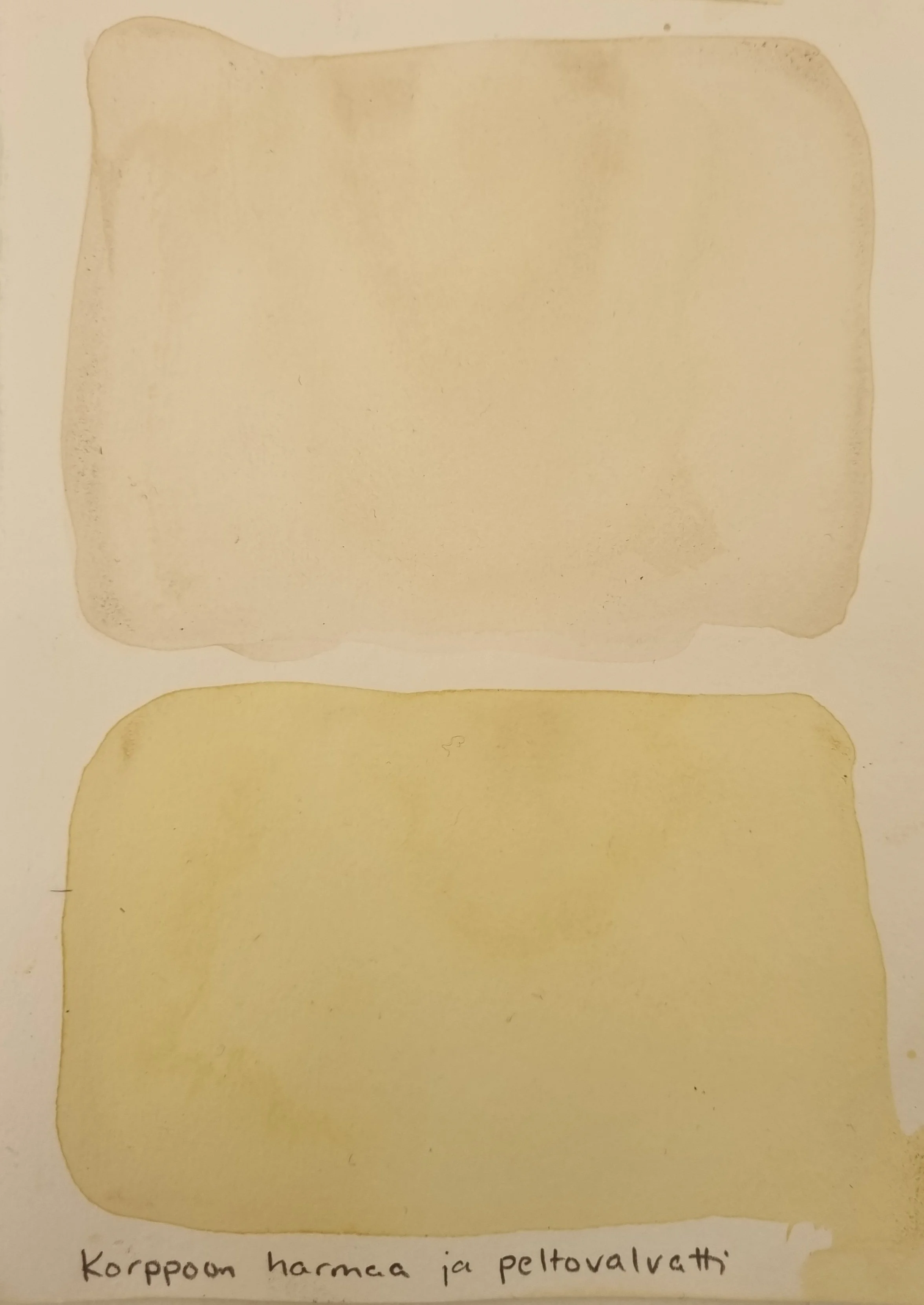Korppoothko. Perennial Sowthistle and lichen on paper. 2025. Private collection, The Netherlands.