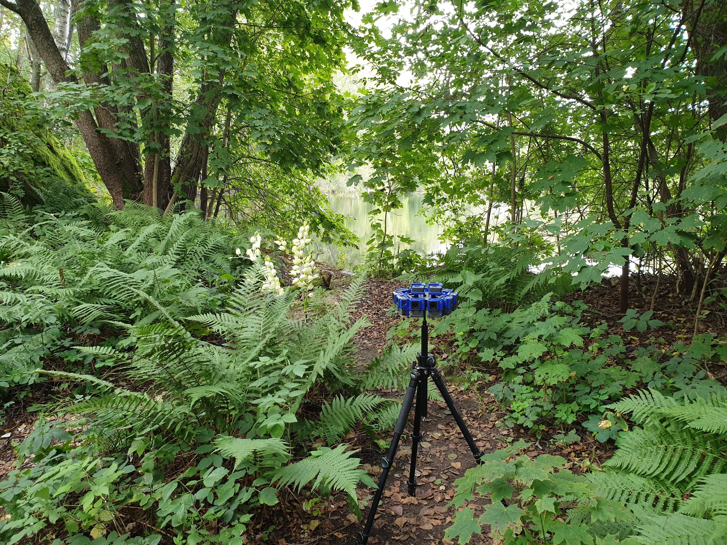 20190916_172156.jpg