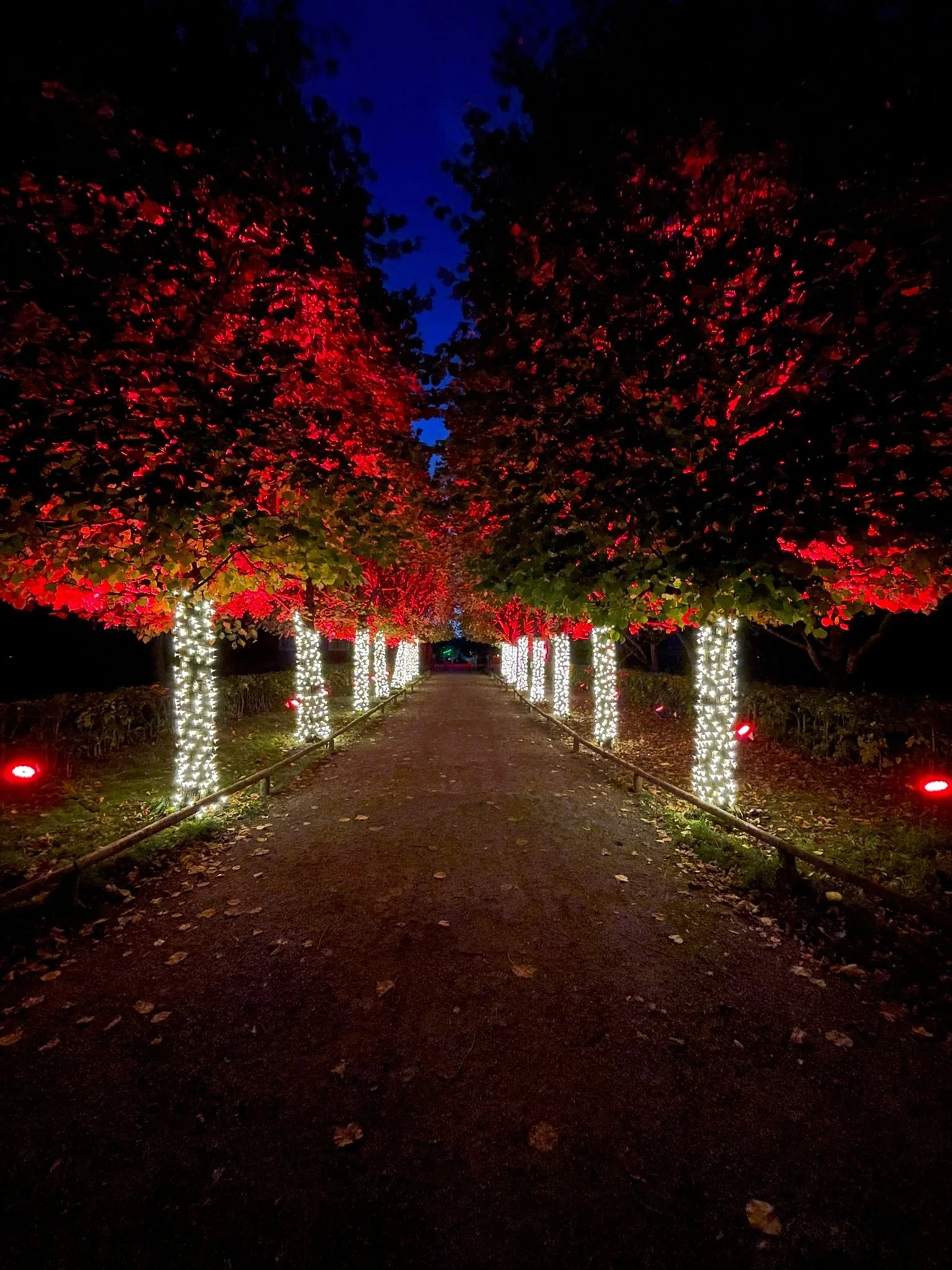 316408a5-222c-4131-a088-69322cd5dcd1 2.JPG