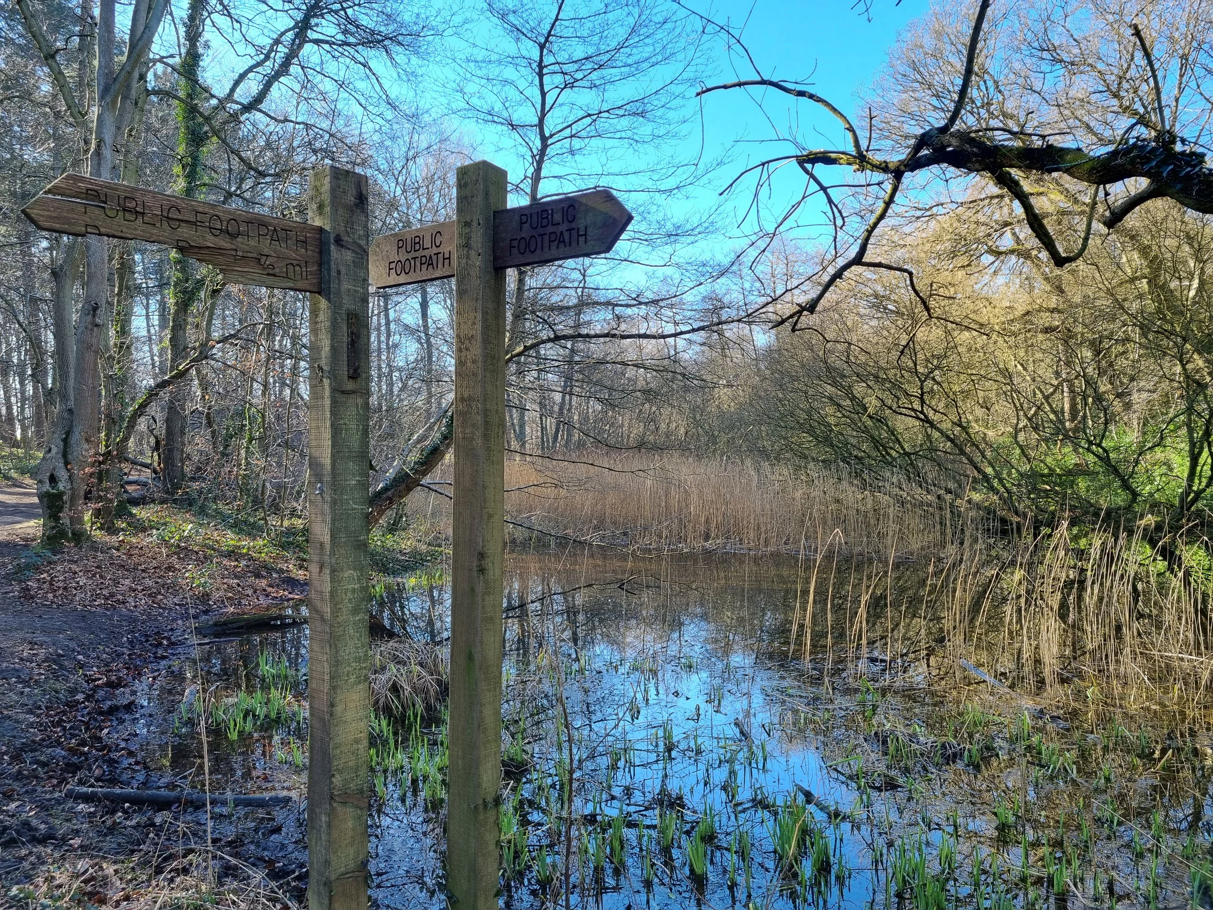 Reclaiming Your Worth: You Don’t Need to Earn It