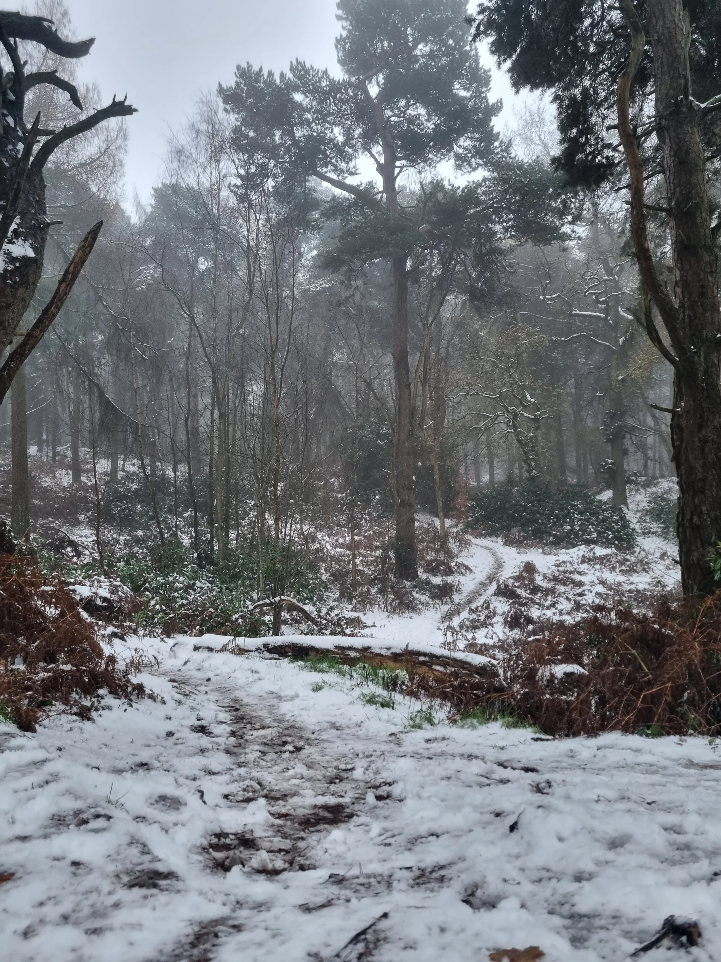 Your Winter Mental Health Survival Guide: 4 ways to make the most of the ‘brrr’ months