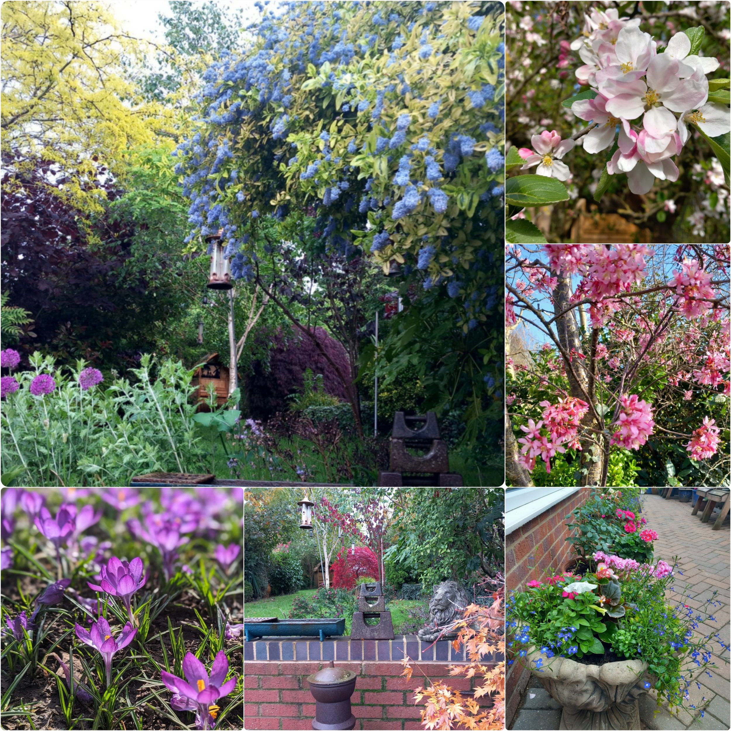 The Gift of the Garden: Learning to Love the Land as it Loves You