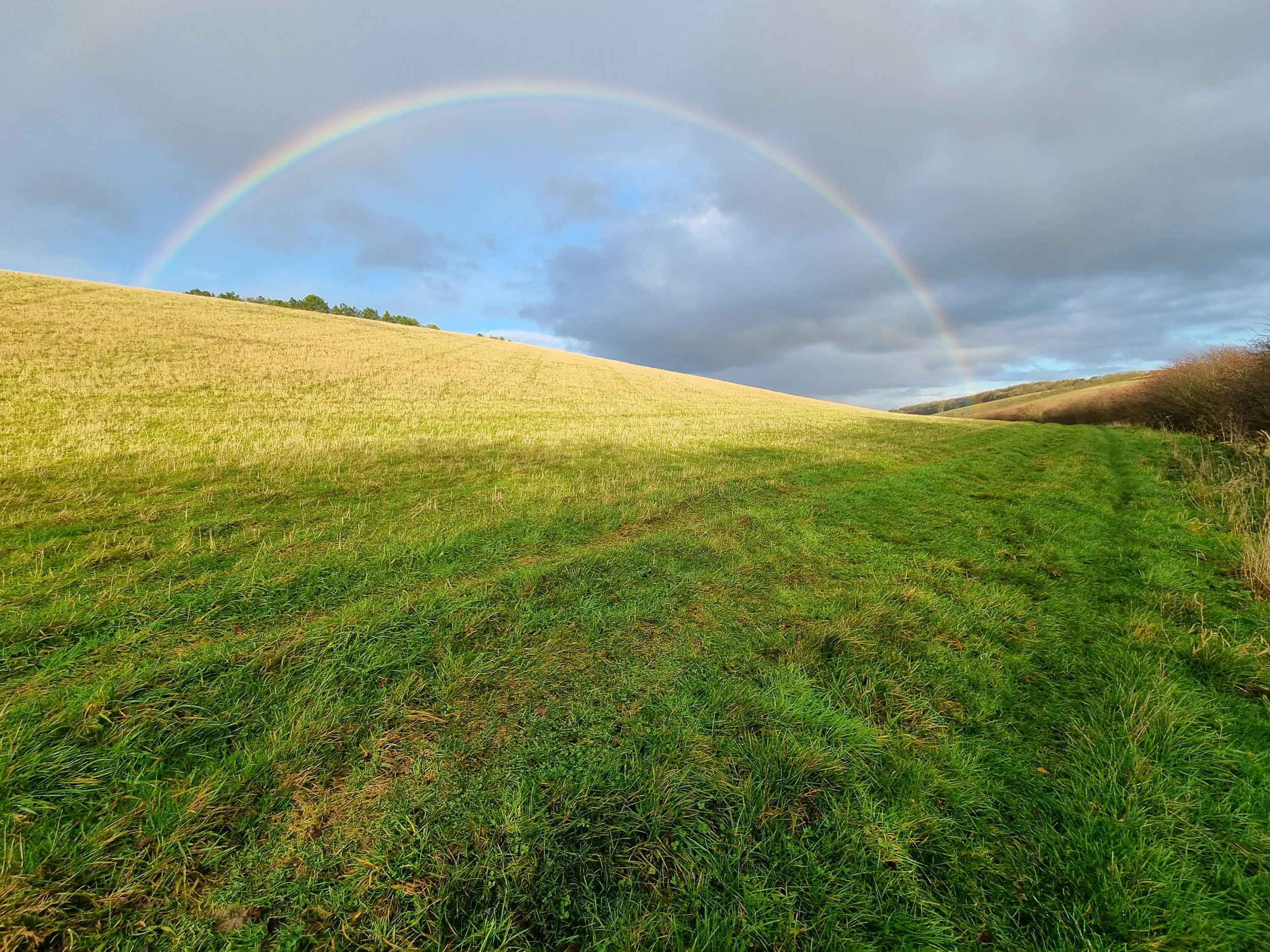 A landscape with green grassy field, a rainbow arching across a cloudy sky, and a distant line of trees on the horizon.