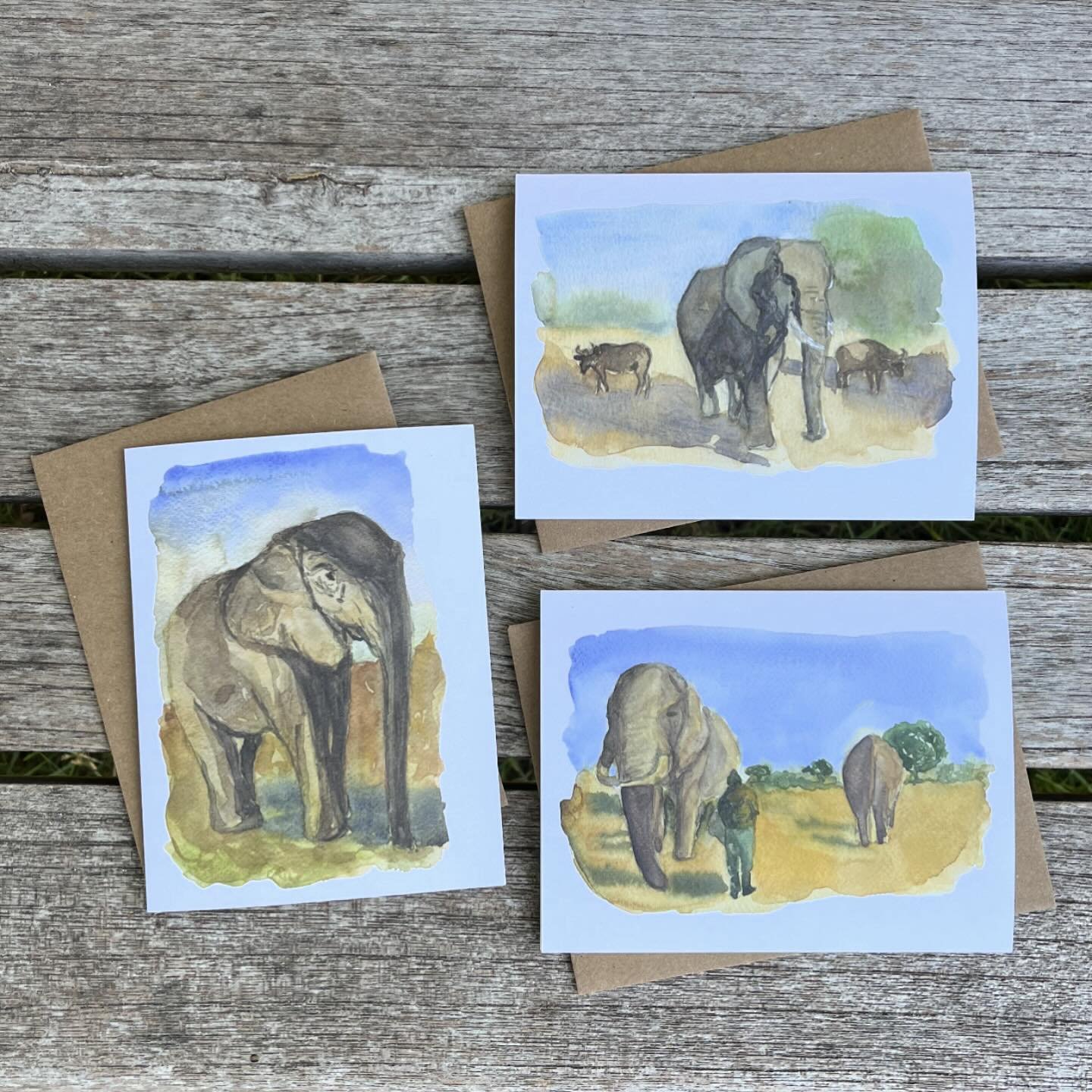 Happy World Elephant Day (a day late)!🐘

To celebrate a limited edition Ellie Trio greeting card set will be available until the end of the week! 

A portion of the proceeds from this collection is donated back to directly support wildlife conservat