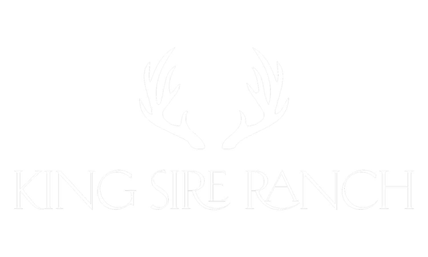 King Sire Ranch 