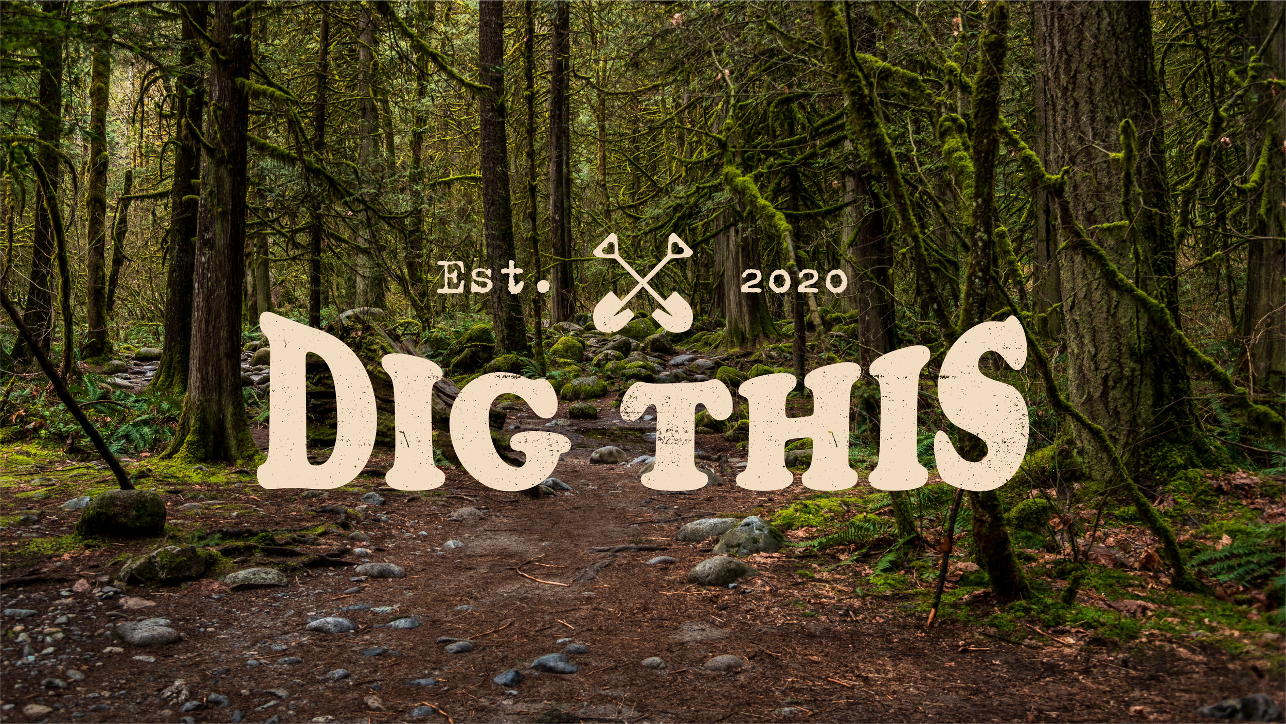 Dig This-13.webp