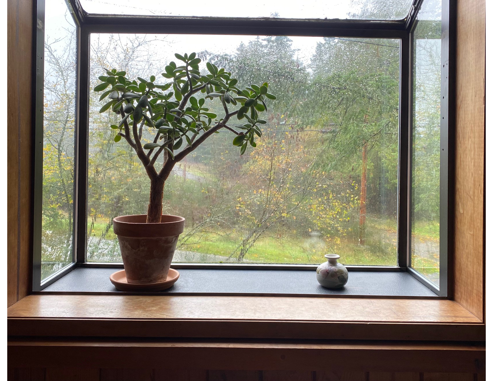 window.png