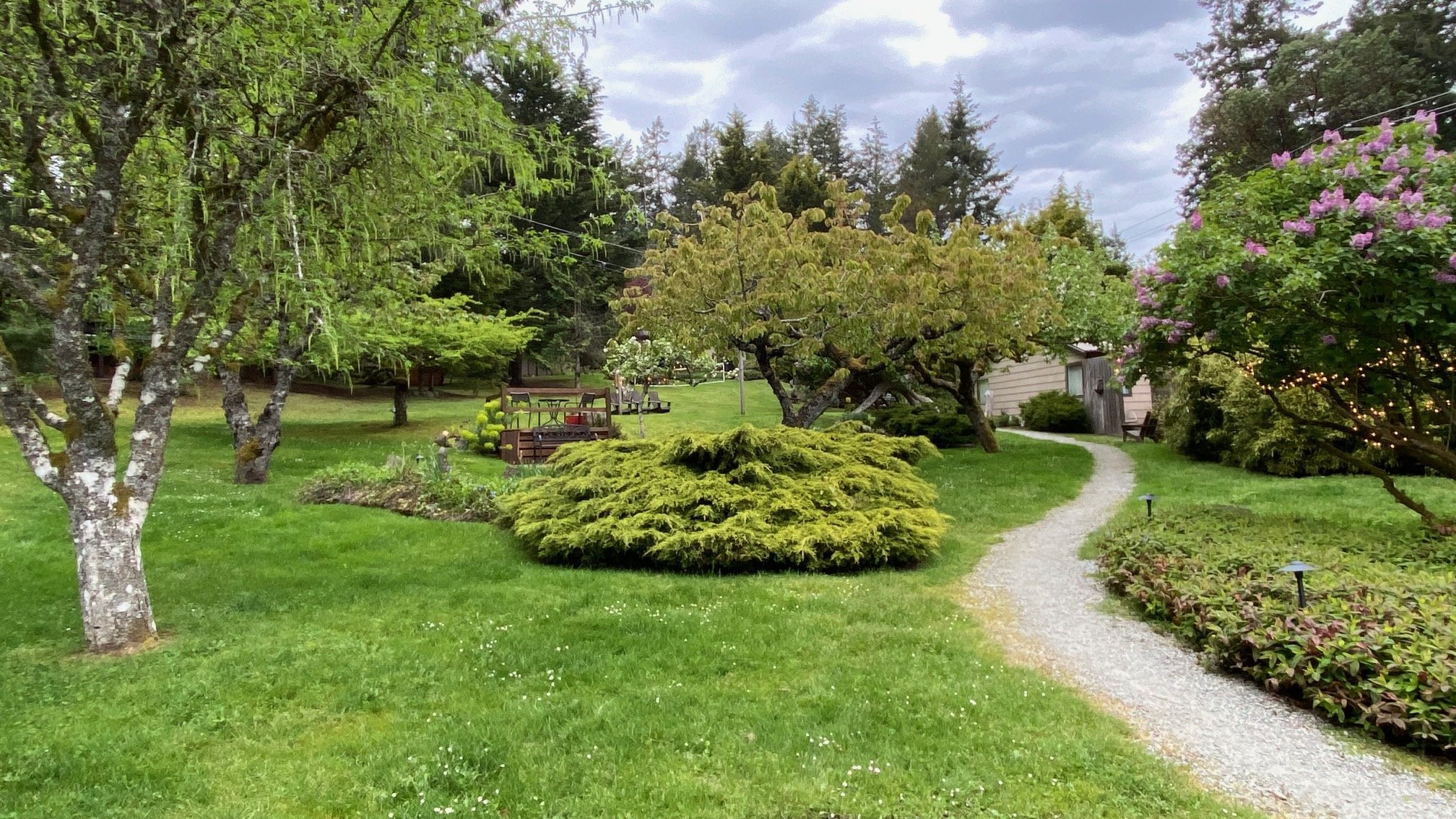 Path Landscape.jpg