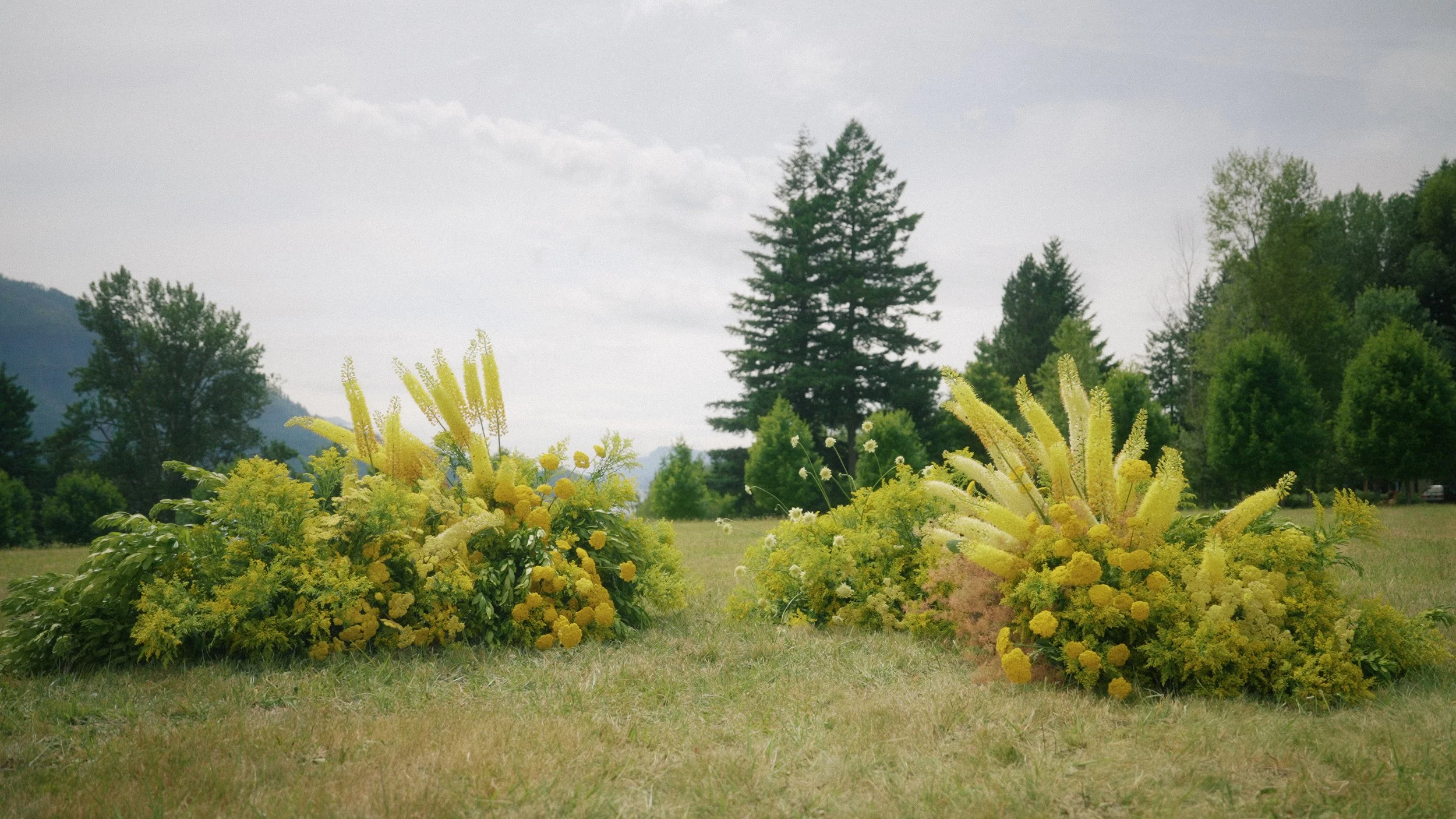 black butte ranch wedding couple