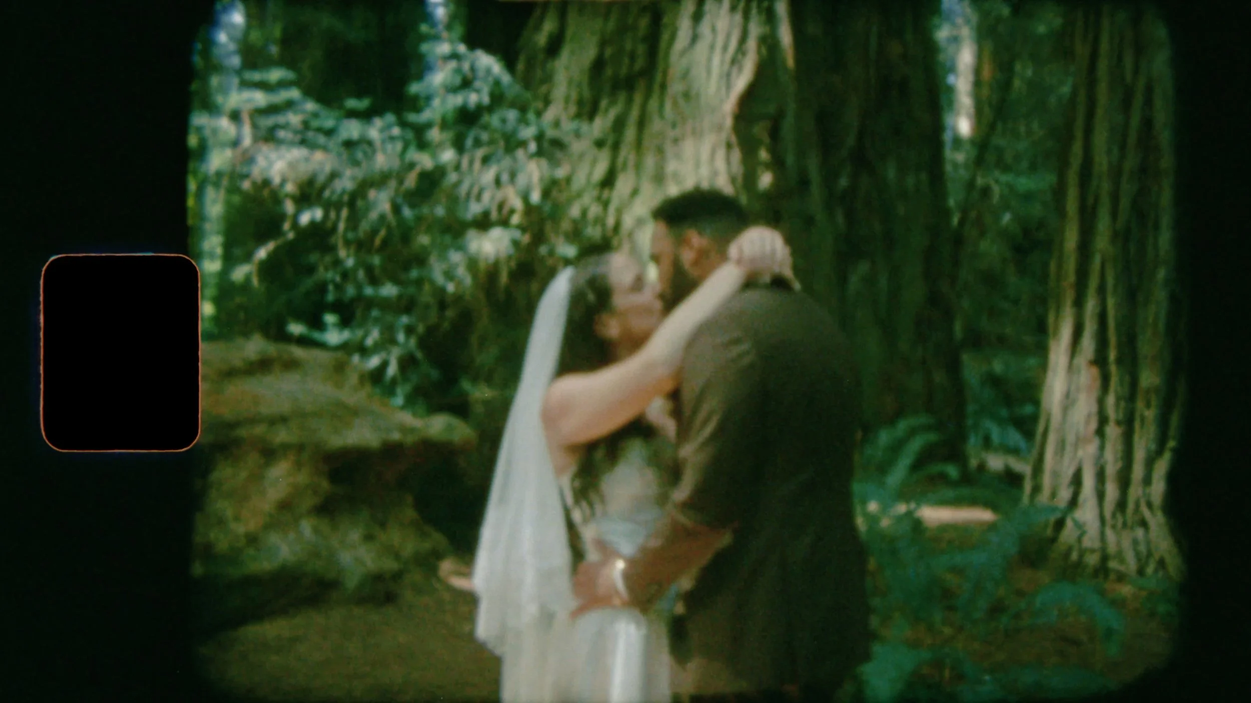 california redwoods elopement