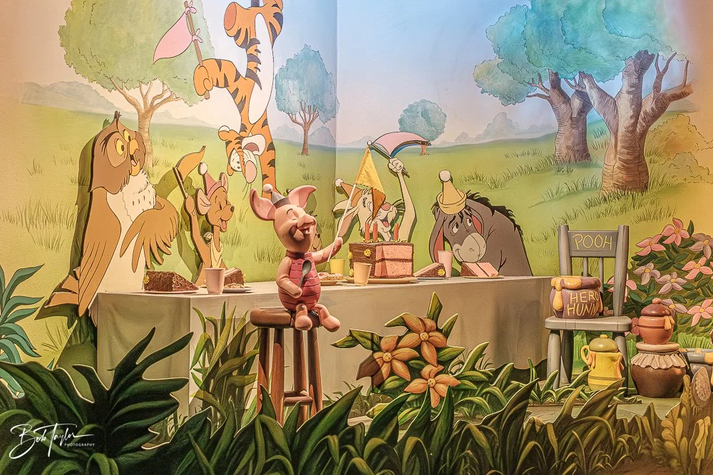 20260128-Magic Kingdom All -25.jpg