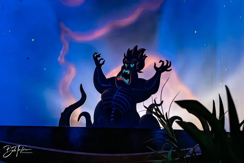 20260128-Magic Kingdom All -220.jpg