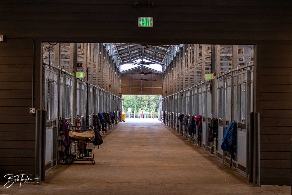 20260131-Fort Wilderness -25.jpg