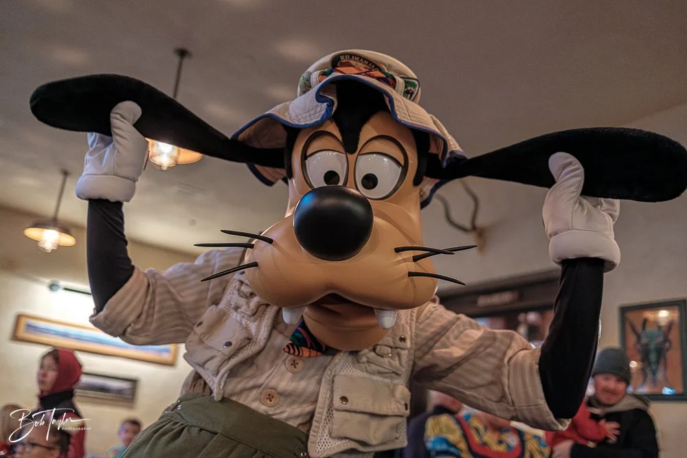 20260127-Animal Kingdom All -19.jpg