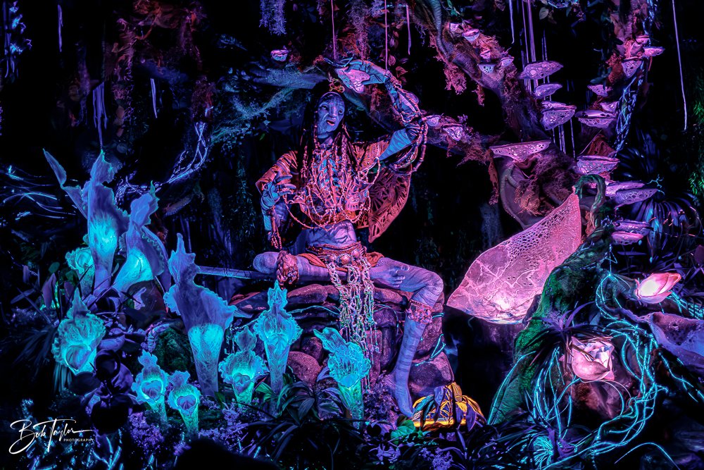 20260127-Animal Kingdom All -128.jpg