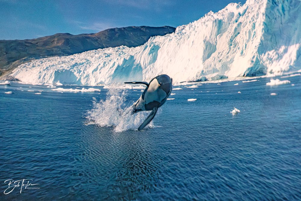 20260126-EPCOT All -61.jpg