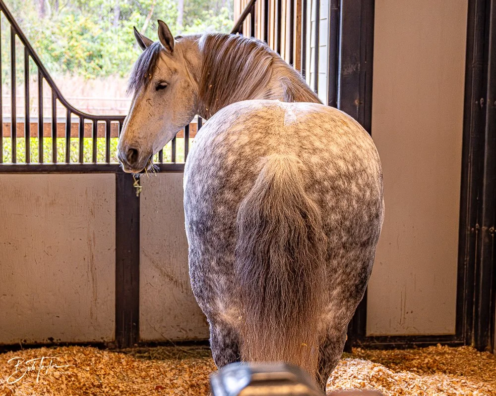 20260131-Fort Wilderness -42.jpg