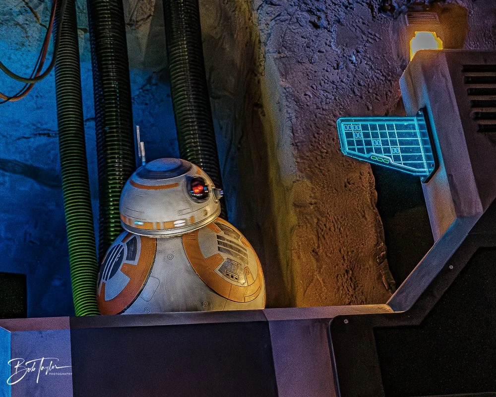 20260129-Hollywood Studios All -61.jpg