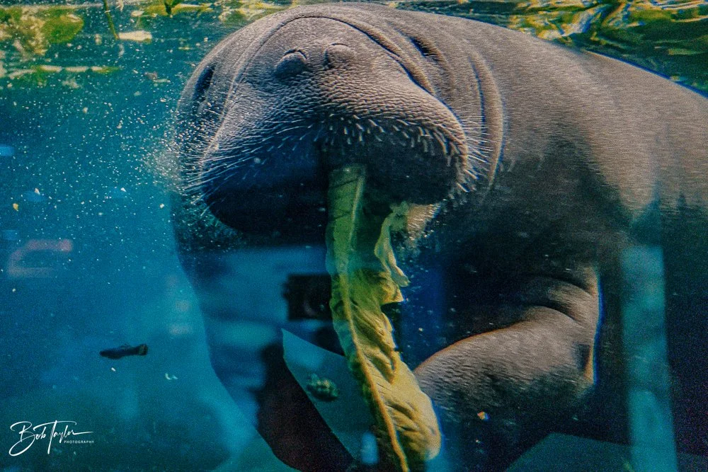 20260126-EPCOT All -52.jpg