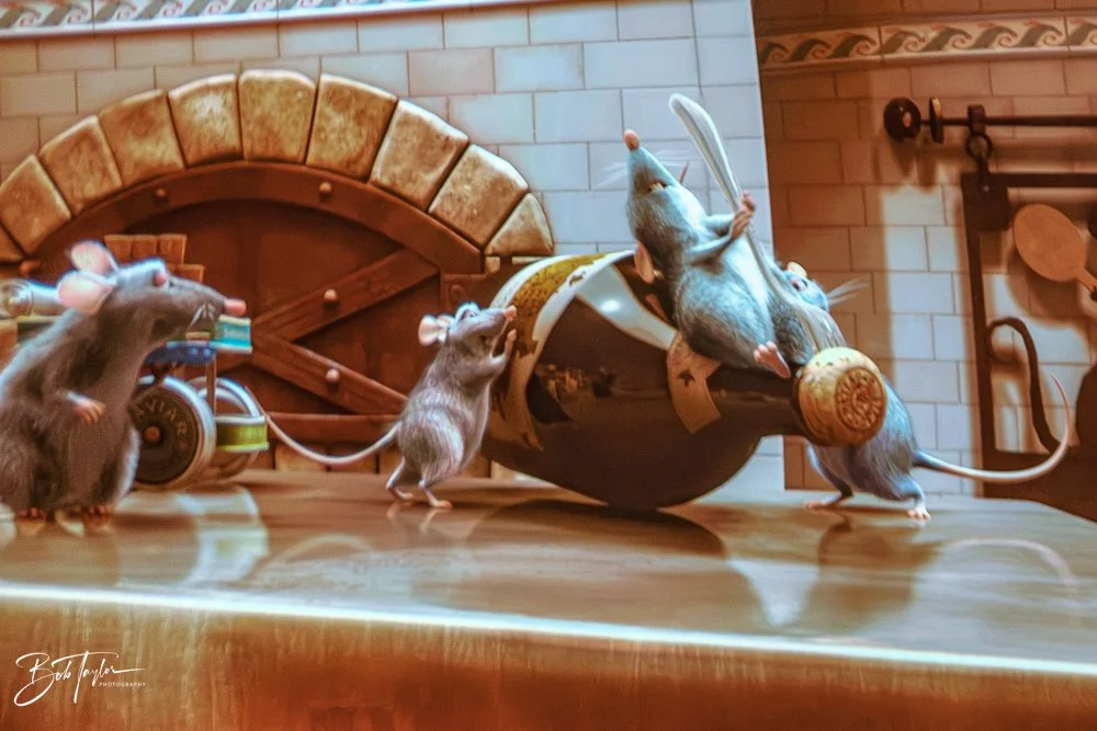 20260126-EPCOT All -113.jpg