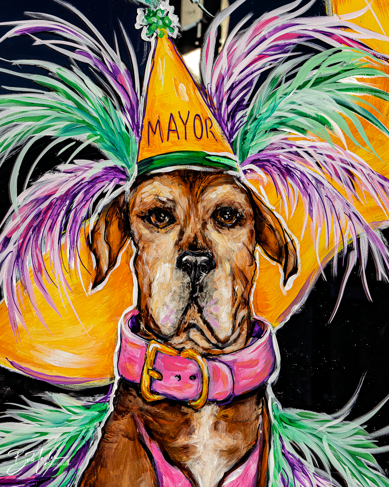 20260115-Mardi Gras Windows -26.png