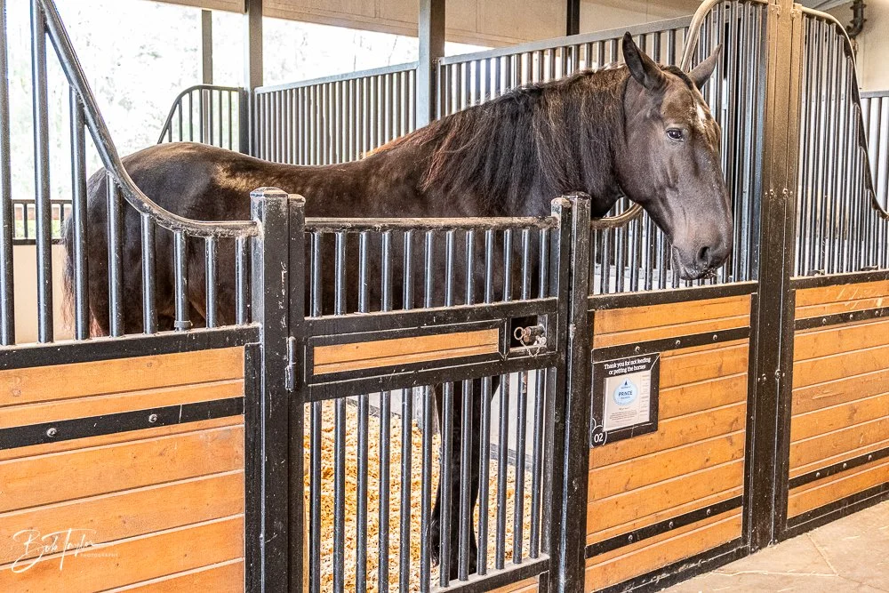 20260131-Fort Wilderness -22.jpg