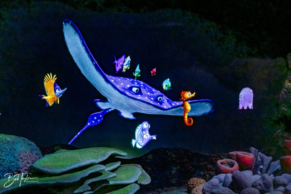 20260126-EPCOT All -45.jpg