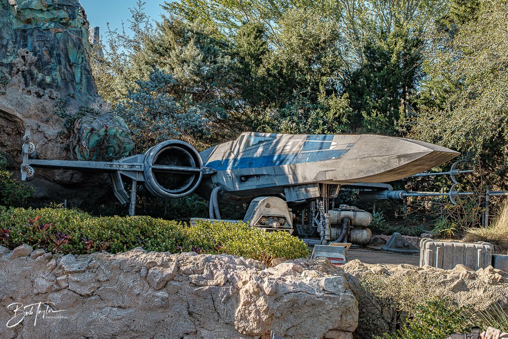 20260129-Hollywood Studios All -55.jpg