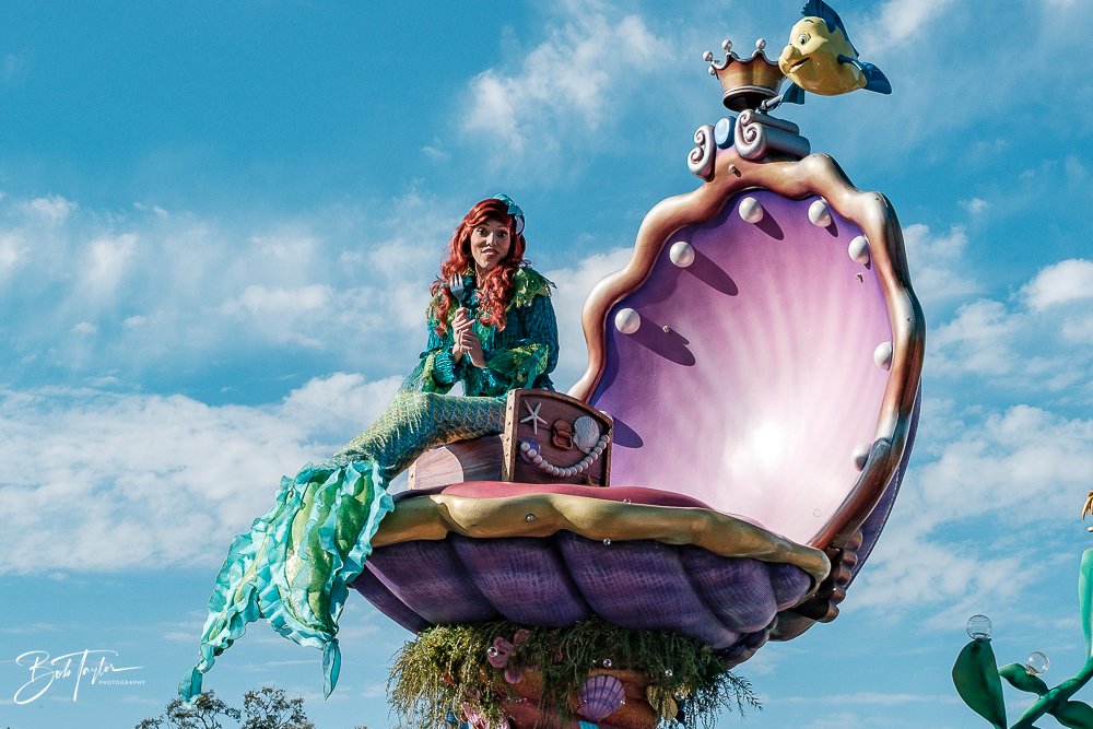 20260128-Magic Kingdom All -189.jpg