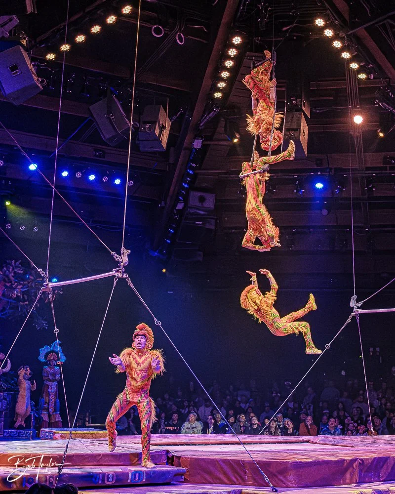 20260127-Animal Kingdom All -142.jpg