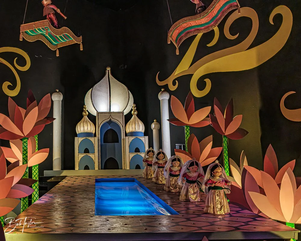 20260128-Magic Kingdom All -43.jpg