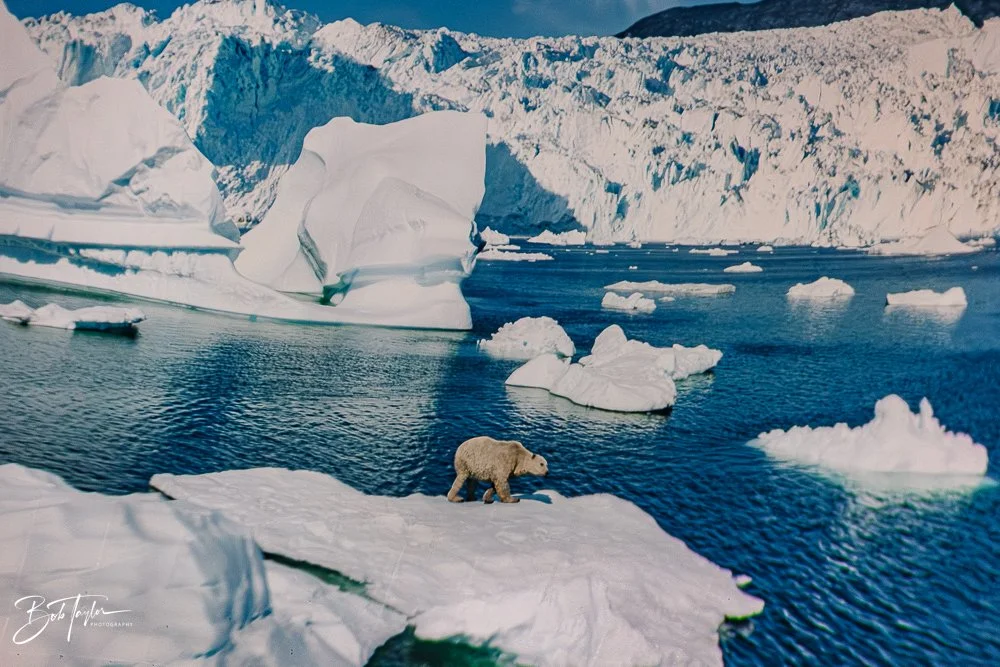 20260126-EPCOT All -60.jpg