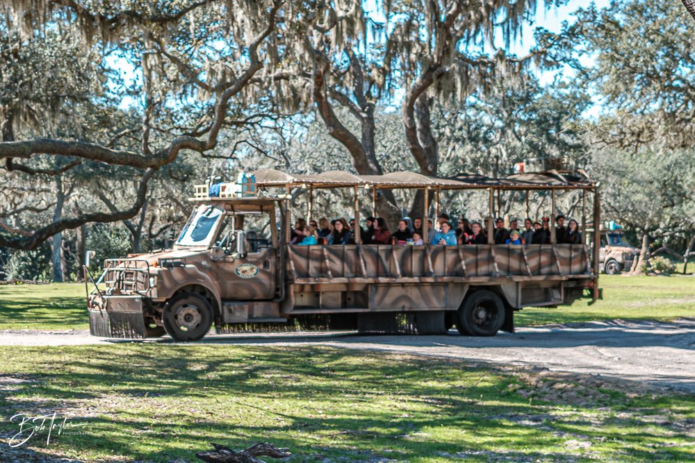 20260127-Animal Kingdom All -74.jpg