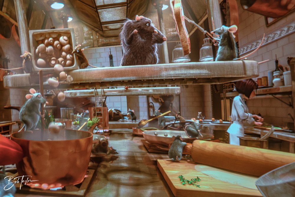 20260126-EPCOT All -112.jpg