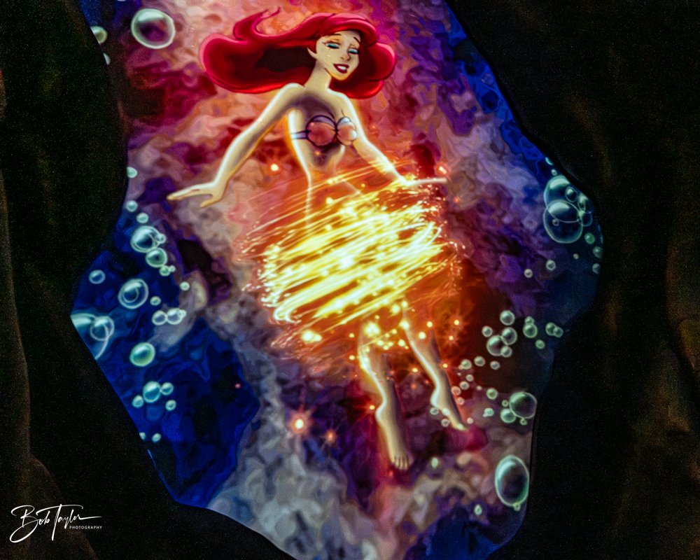 20260128-Magic Kingdom All -218.jpg