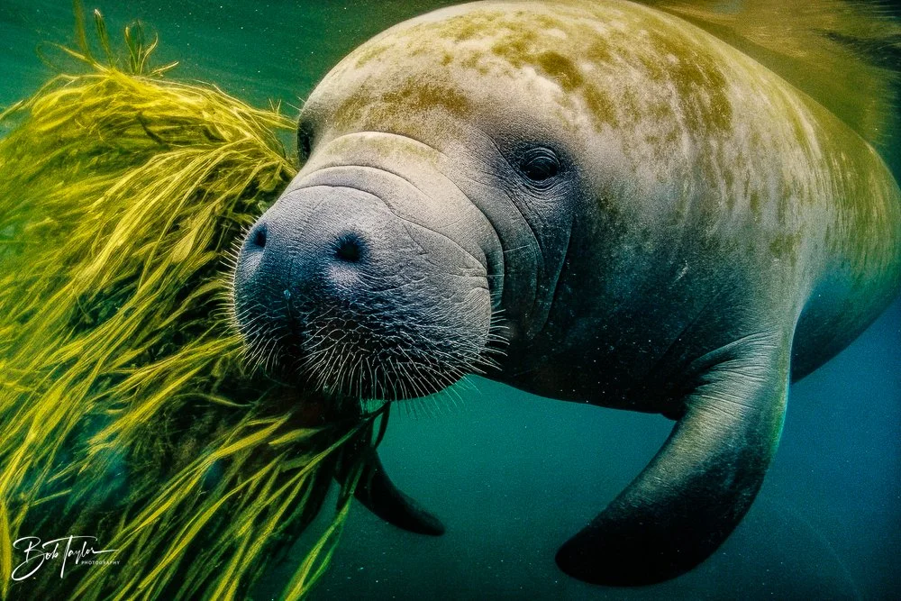 20260126-EPCOT All -54.jpg