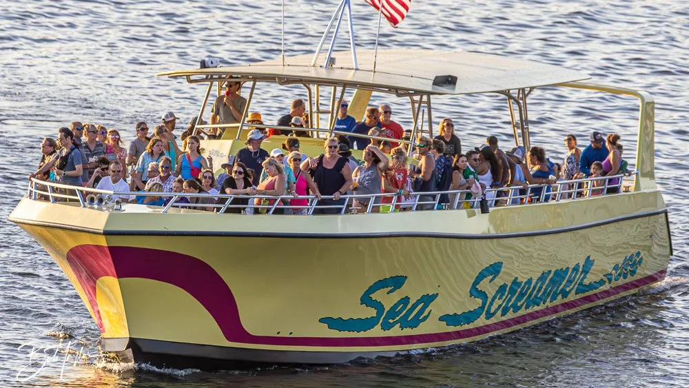 20240622-Sea Screamer Logo -15.jpg
