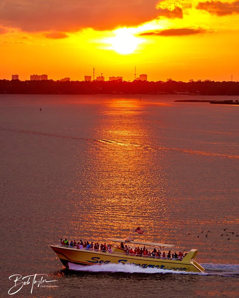 20230808-20230808-Sea Screamer Logo -4-2.jpg