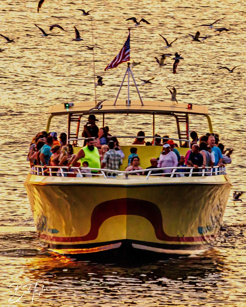 20230808-20230808-Sea Screamer Logo -2-2.jpg