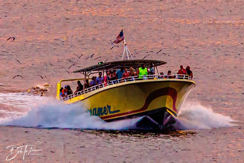 20230808-Sea Screamer Logo -1.jpg