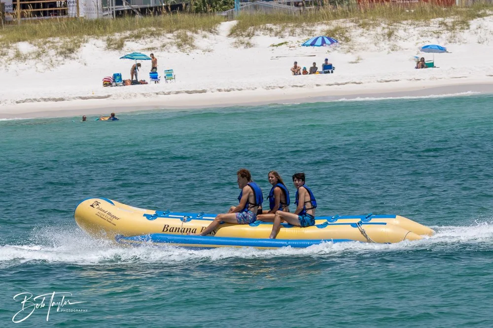 20240803-20240803-Sea Screamer Logo -40-2.jpg