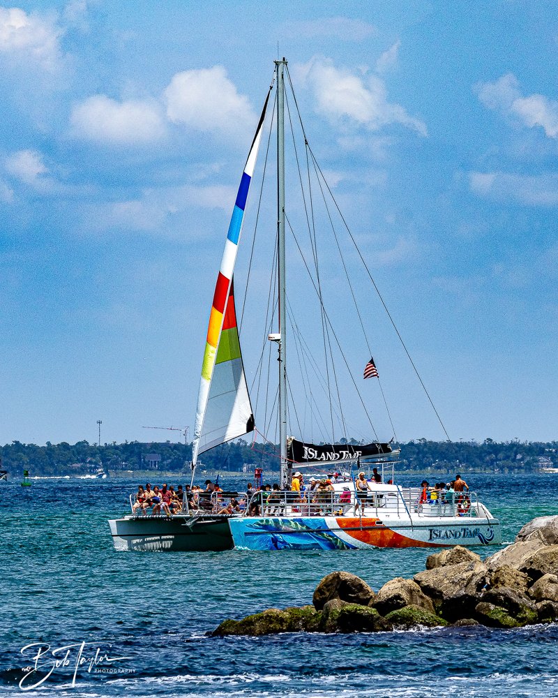20240803-Sea Screamer Logo -47.jpg