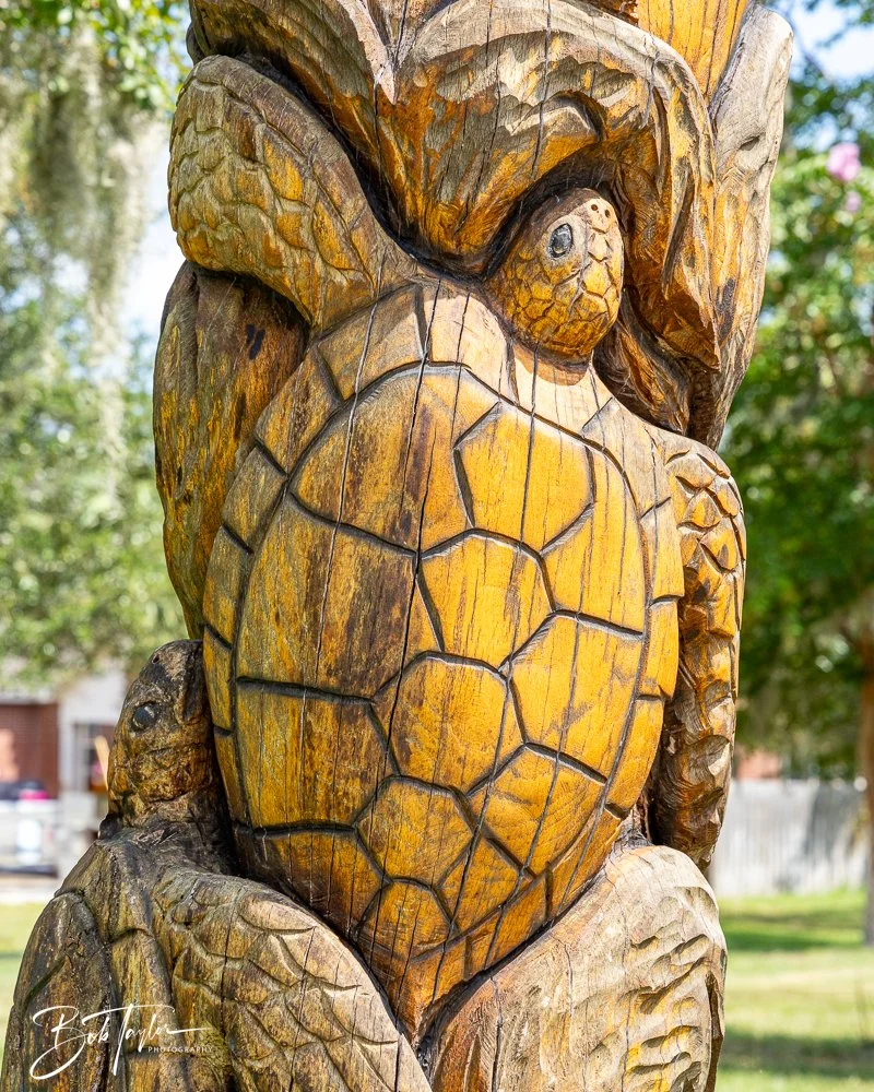 20240822-Sentry Oak -4.jpg