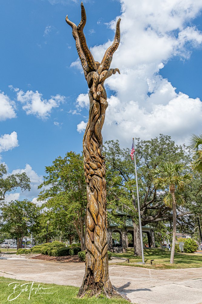 20240822-Sentry Oak -7.jpg