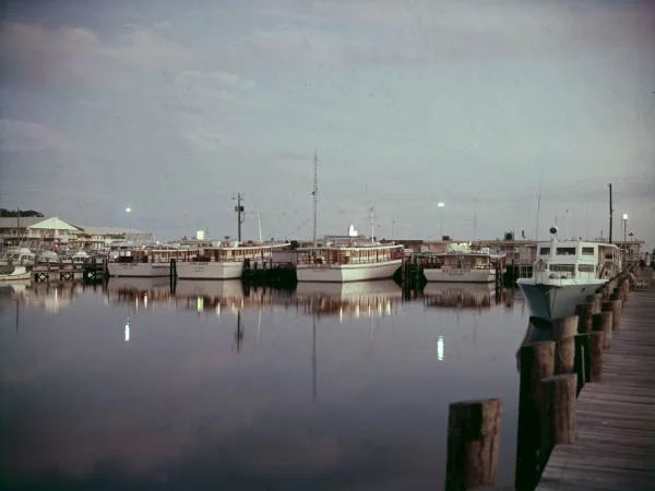 RP06154.jpg
