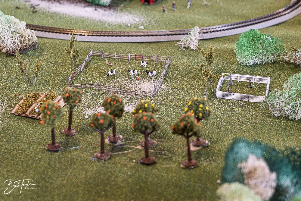 20251213-Museum Train -13.jpg
