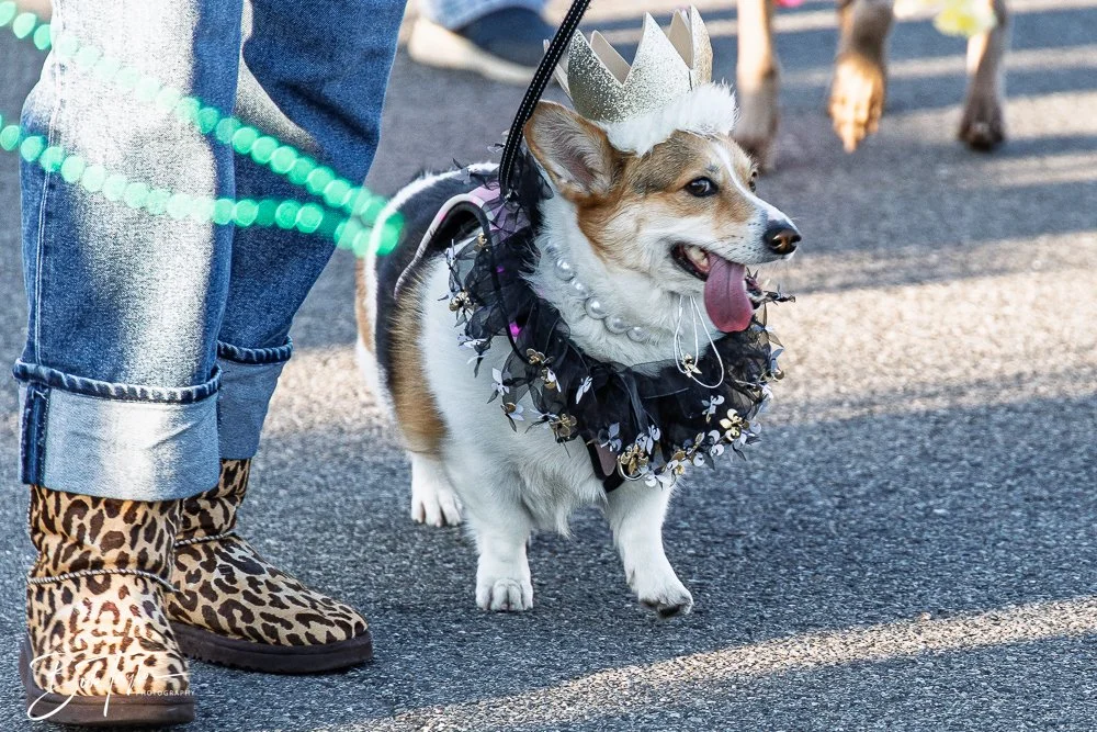 20260206-Mardi Gras Kids -24.jpg