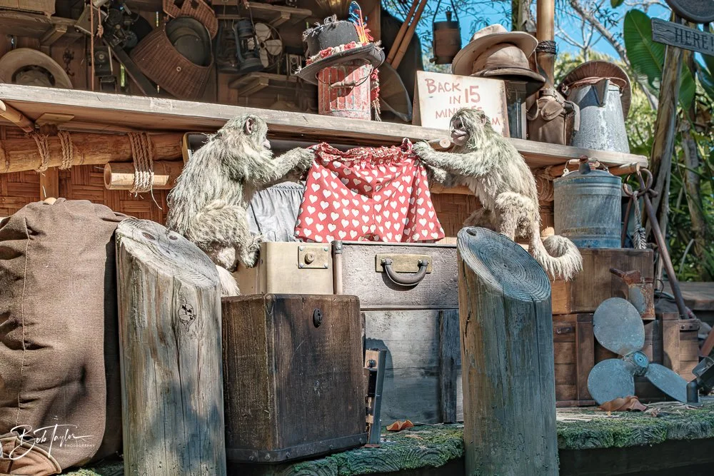 20260128-Magic Kingdom All -107.jpg