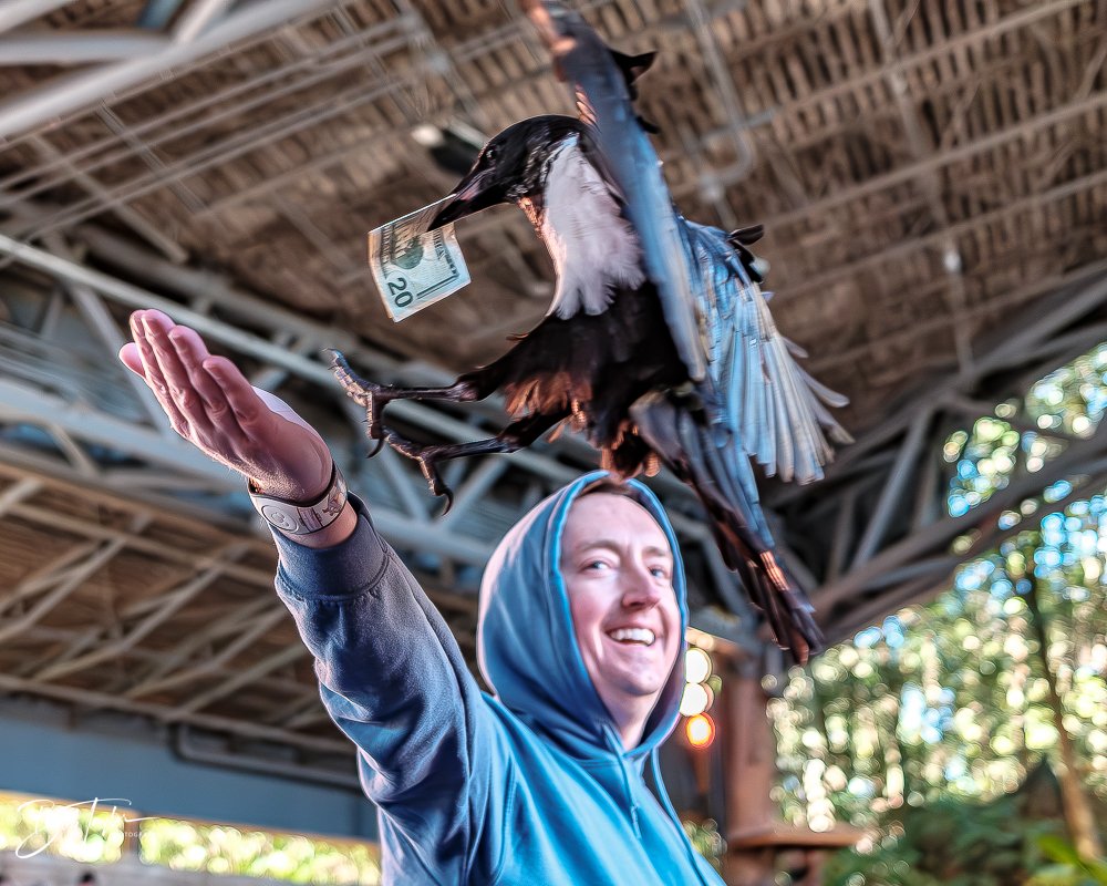 20260127-Animal Kingdom All -30.jpg